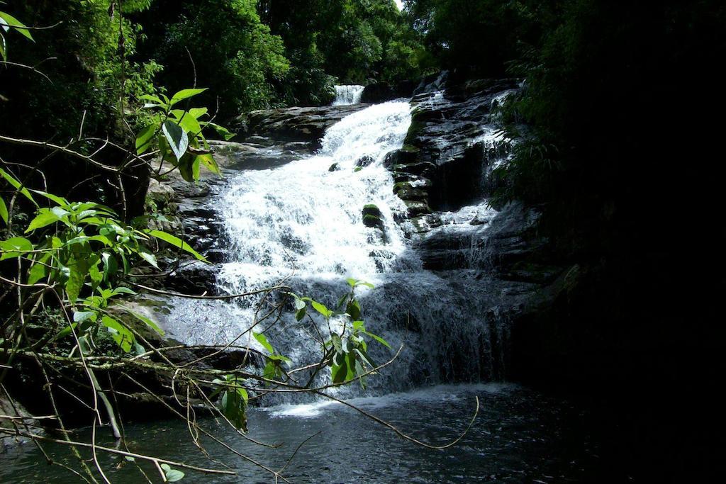Terra Do Sempre - Reserva Ambiental Hotel São Francisco de Paula Buitenkant foto