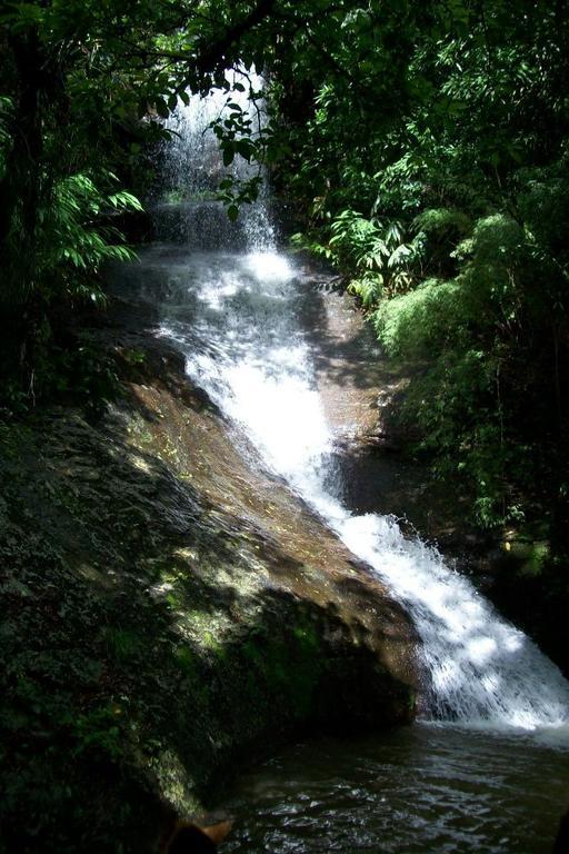 Terra Do Sempre - Reserva Ambiental Hotel São Francisco de Paula Buitenkant foto