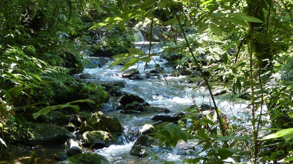 Terra Do Sempre - Reserva Ambiental Hotel São Francisco de Paula Buitenkant foto